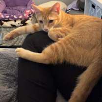 Thumbnail photo of Tiny McMighty #4