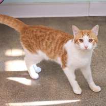 Thumbnail photo of Buddy #3