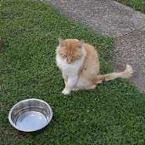 Thumbnail photo of Bubbie #2