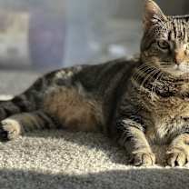 Thumbnail photo of Sabrina #1