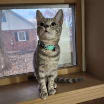 Thumbnail photo of Dora #2