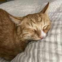 Thumbnail photo of Jonah #3