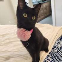 Thumbnail photo of Meredith #2