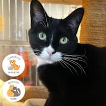 Thumbnail photo of Zelda #1