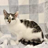 Thumbnail photo of Lucky #3