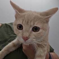 Thumbnail photo of Jason #1