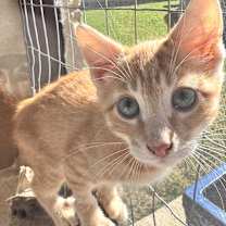 Thumbnail photo of Magnus JG #1