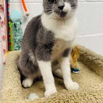 Thumbnail photo of Artie #3