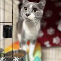 Thumbnail photo of Artie #4