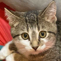 Thumbnail photo of Bridget #2