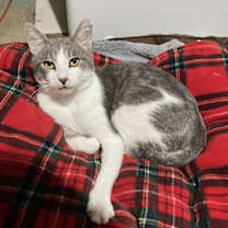 Thumbnail photo of Duncan #1