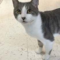 Thumbnail photo of Duncan #3