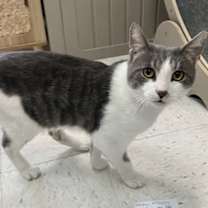 Thumbnail photo of Duncan #4