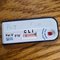 Thumbnail photo of Autumn #2