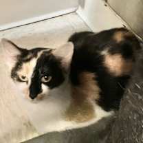 Thumbnail photo of Doodle #2