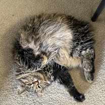 Thumbnail photo of Nora #4