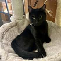 Thumbnail photo of Bernie #4