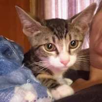 Thumbnail photo of Willie #2