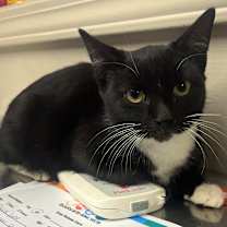 Thumbnail photo of Lindsey #2