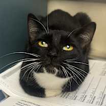 Thumbnail photo of Lindsey #3