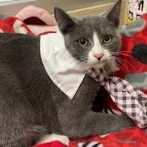 Thumbnail photo of Isabella #1