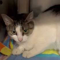 Thumbnail photo of Alora #2