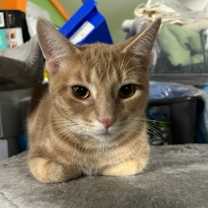 Thumbnail photo of Hydro #2