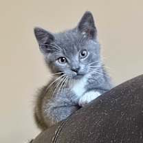 Thumbnail photo of Jimmy #2