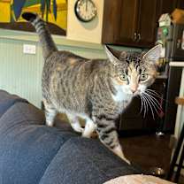 Thumbnail photo of FRANNIE #1