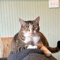 Thumbnail photo of FRANNIE #2