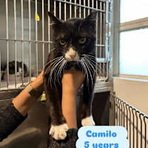 Thumbnail photo of Camilo #2