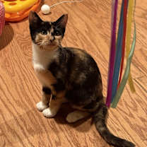 Thumbnail photo of Hazel #4