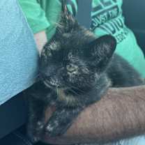 Thumbnail photo of Evie #1