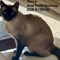 Thumbnail photo of Henry #1