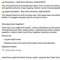 Thumbnail photo of Henry #3