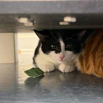 Thumbnail photo of Marie #2