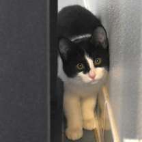 Thumbnail photo of Marie #3