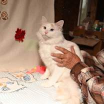 Thumbnail photo of Olaf #1