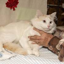 Thumbnail photo of Olaf #2