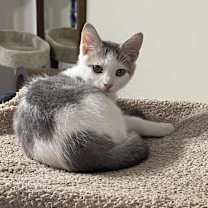 Thumbnail photo of Tuna #2