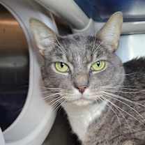 Thumbnail photo of Jackson #2