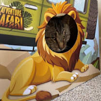 Thumbnail photo of Tarzan #4