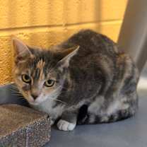 Thumbnail photo of Kevin #2