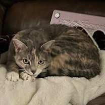 Thumbnail photo of Kevin #3