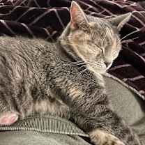 Thumbnail photo of Kevin #4