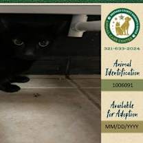 Thumbnail photo of Basil #1