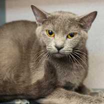 Thumbnail photo of June #3