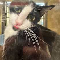 Thumbnail photo of Stephanie #2