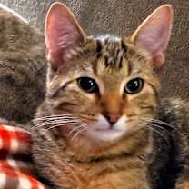 Thumbnail photo of Zack #3