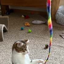 Thumbnail photo of Charlotte #3